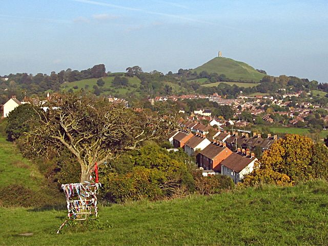 File:Glastonbury Thorn and Tor.jpg