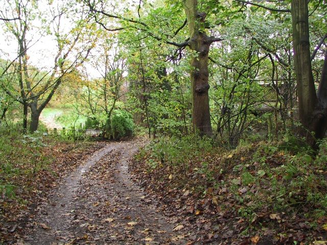 File:Hawksclough - geograph.org.uk - 76371.jpg