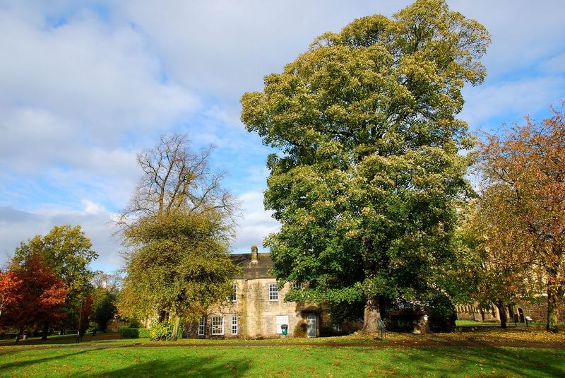 File:Hexham Park - panoramio.jpg