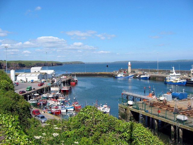 File:Irl DunmoreEast harbour.jpg