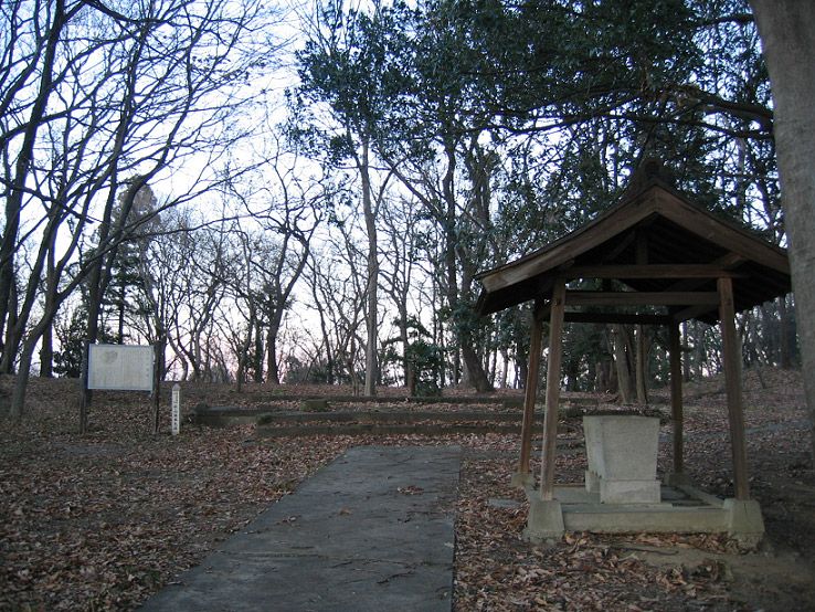 File:Musashi Matsuyama Castle.jpg