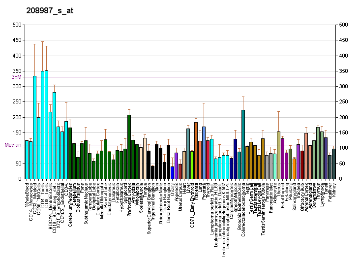 File:PBB GE FBXL11 208987 s at fs.png