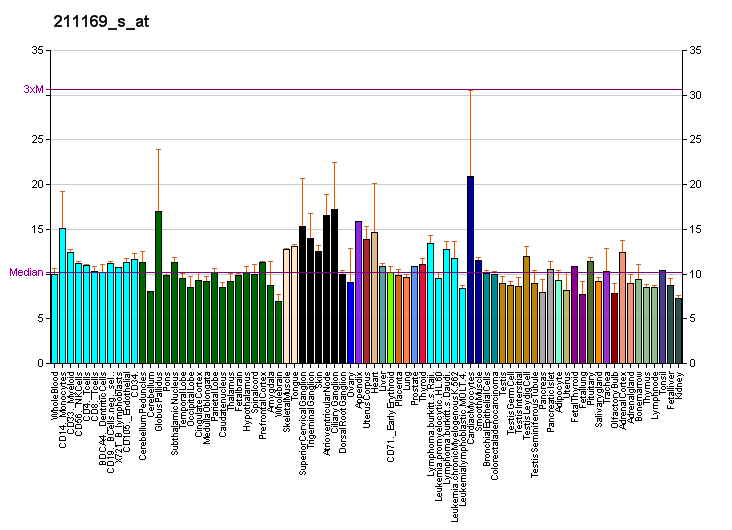 File:PBB GE PPP1R3A 211169 s at fs.png