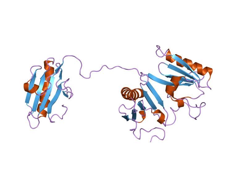 File:PDB 1j72 EBI.jpg