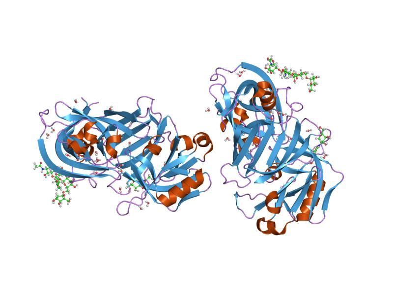 File:PDB 1lya EBI.jpg