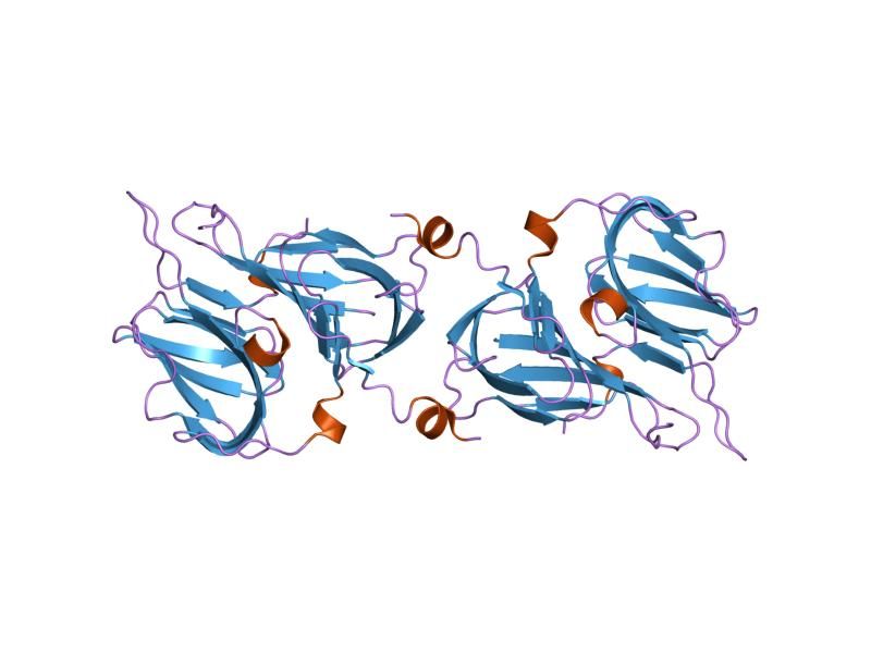 File:PDB 1rc6 EBI.jpg