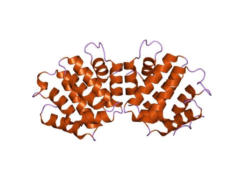 File:PDB 1ujj EBI.jpg