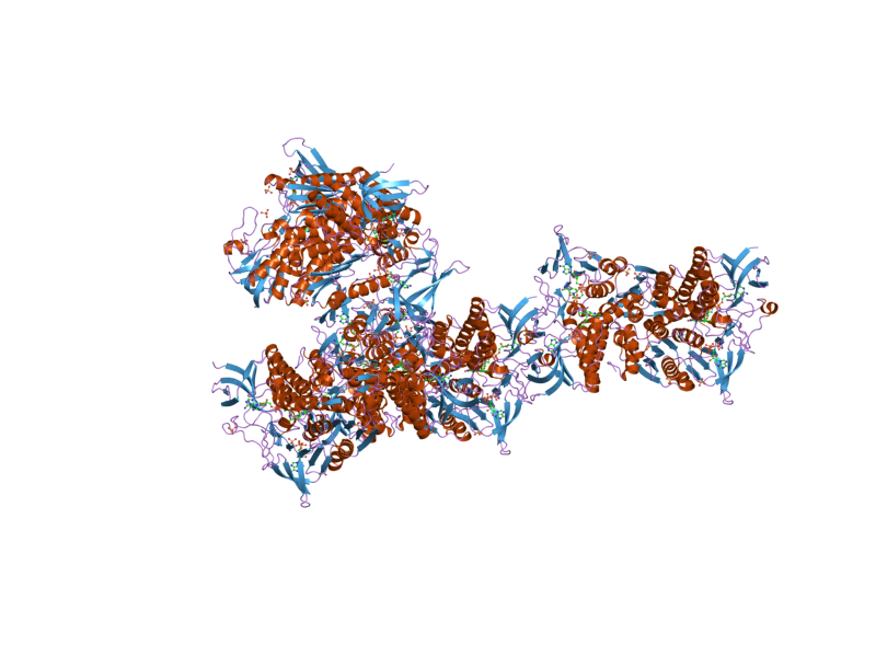 File:PDB 1zmc EBI.png