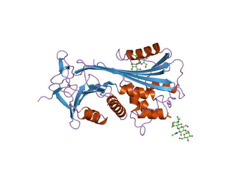 File:PDB 2ach EBI.jpg