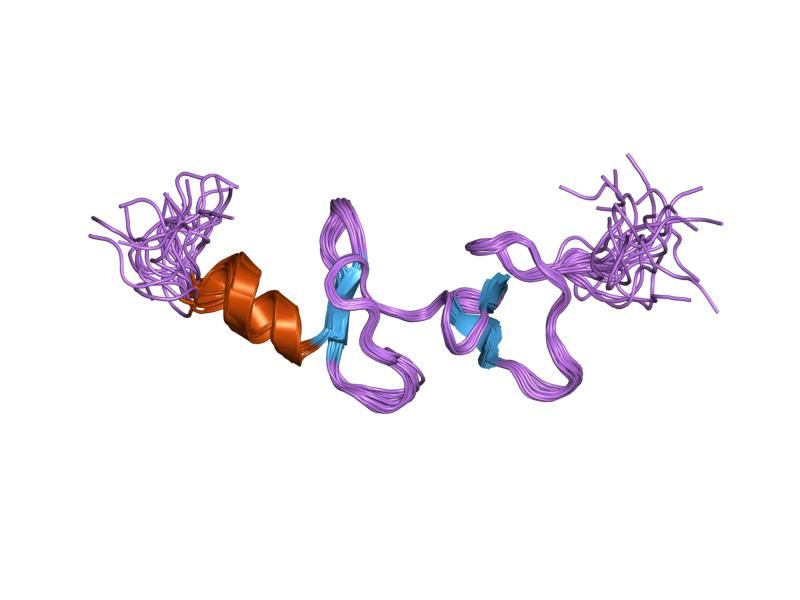 File:PDB 2cur EBI.jpg