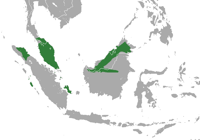 File:Pen-tailed Treeshrew area.png