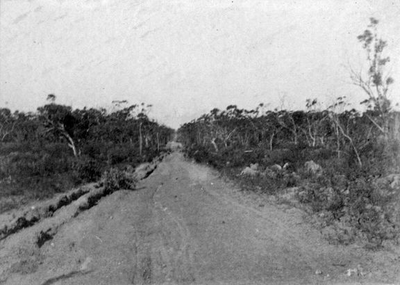 File:Road through the bush (Archibald Sanderson 1895-96).jpg