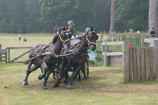 File:Sandringham Estate - geograph.org.uk - 1401444.jpg