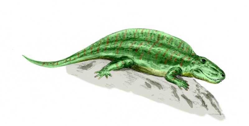 File:Sphenacodon BW.jpg