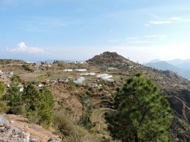 File:Village Mahog ,district Solan,Himachal Pradesh,India.jpg