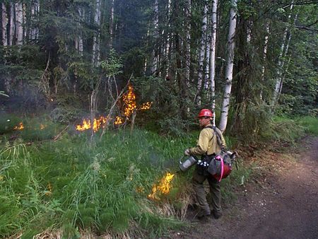 File:Boreal forestfire.jpg