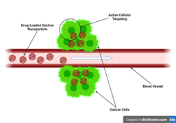 File:Figure 2.0 - Drug-loaded dextran nanoparticles.png