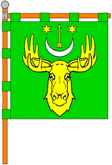 File:Losynets flag.png