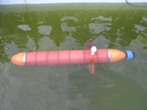 File:Maya AUV in a pool at NIO.jpg