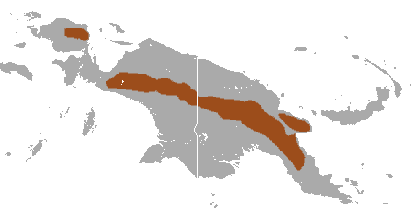 File:Narrow-striped Marsupial Shrew area.png