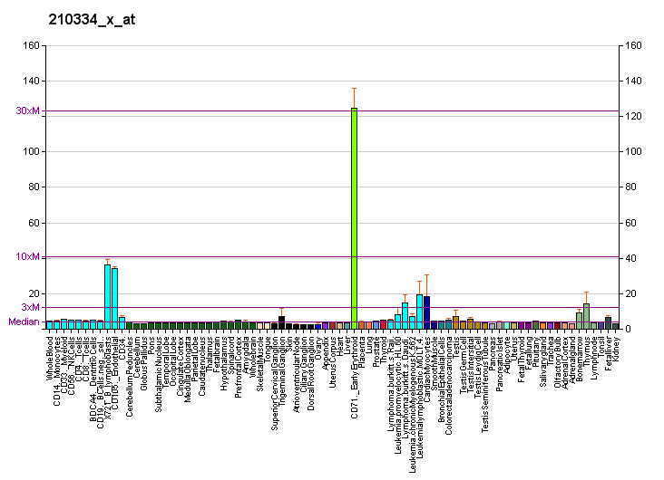 File:PBB GE BIRC5 210334 x at fs.png