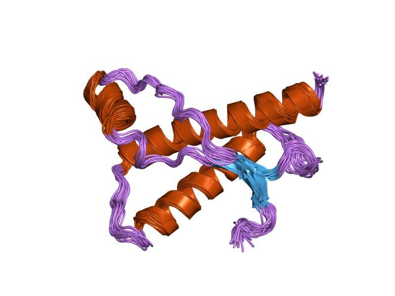 File:PDB 1dwz EBI.jpg