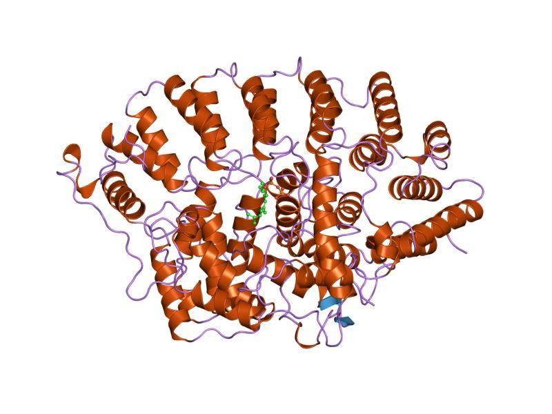 File:PDB 1ft2 EBI.jpg