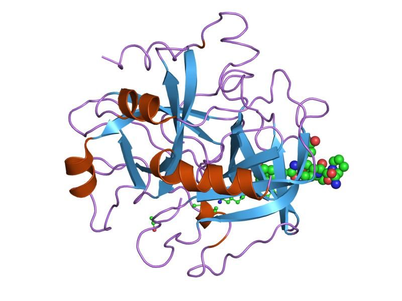 File:PDB 1iht EBI.jpg