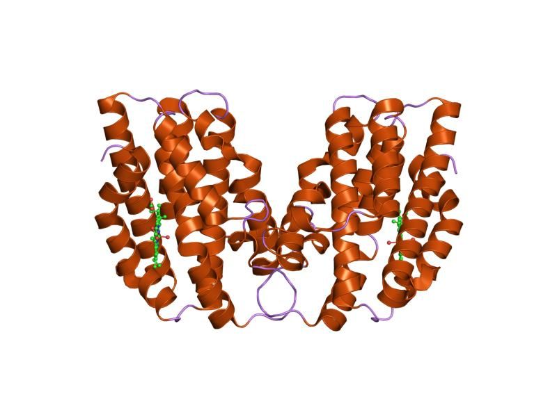 File:PDB 1oyl EBI.jpg