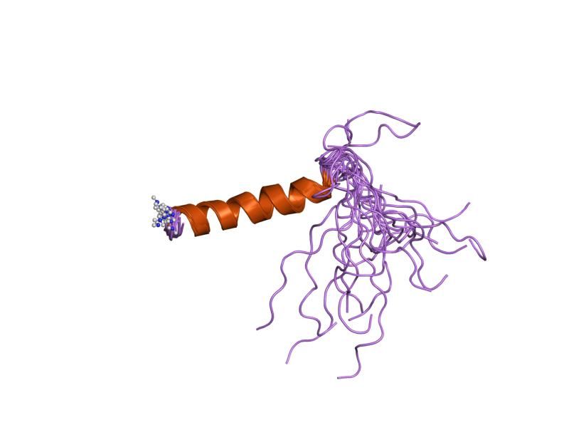 File:PDB 1ruu EBI.jpg