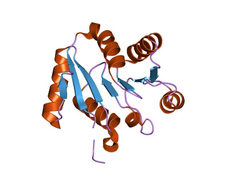 File:PDB 1t5i EBI.jpg