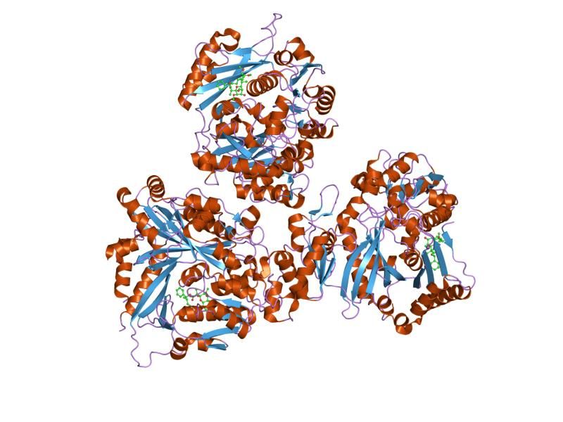 File:PDB 1w96 EBI.jpg