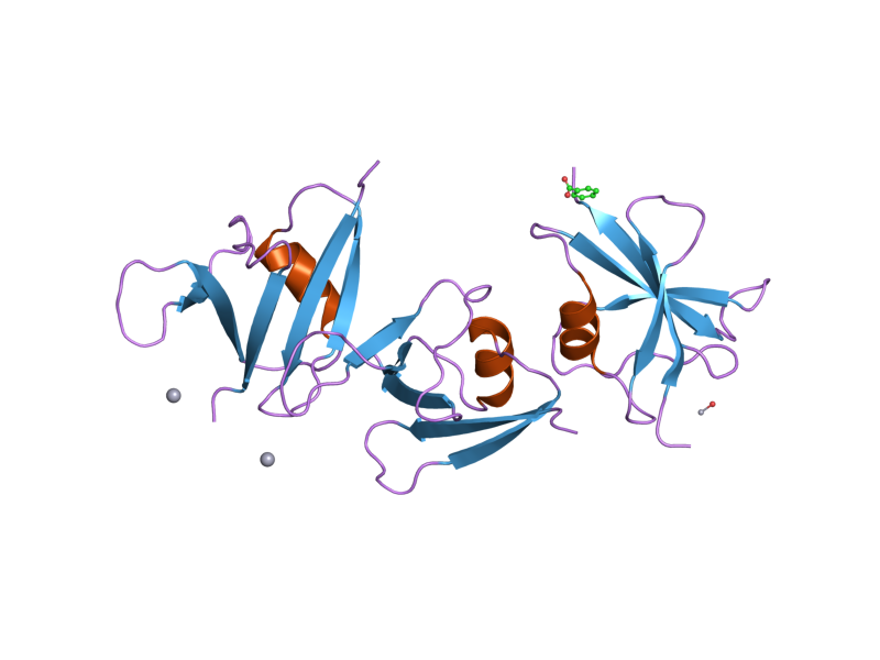 File:PDB 1wsp EBI.png