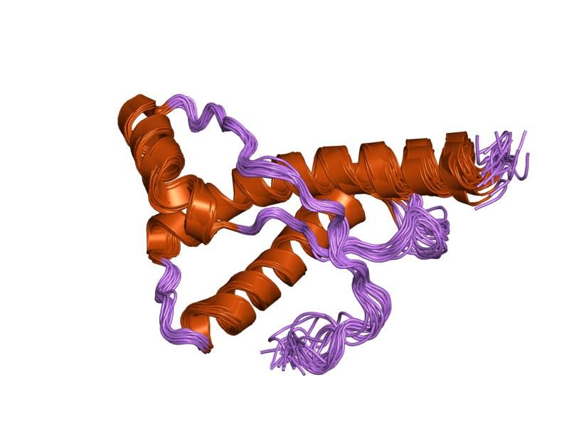 File:PDB 1y15 EBI.jpg