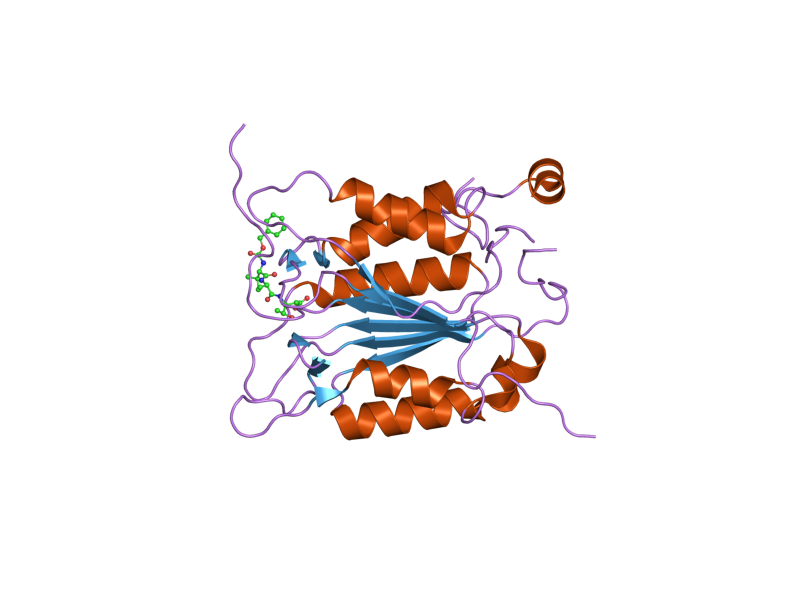 File:PDB 2hbq EBI.png