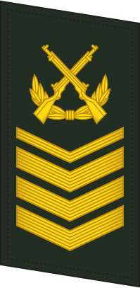 File:PLAGF-Collar-0709-1CSGT.png