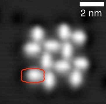 File:PTCDA self-assembly STM.jpg