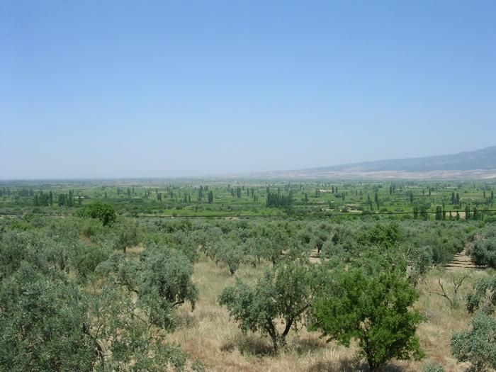 File:Plain of Corupedium.jpg