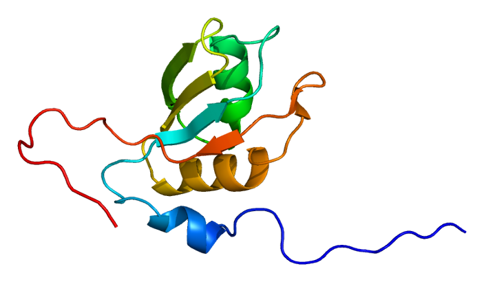 File:Protein TIAL1 PDB 1x4g.png