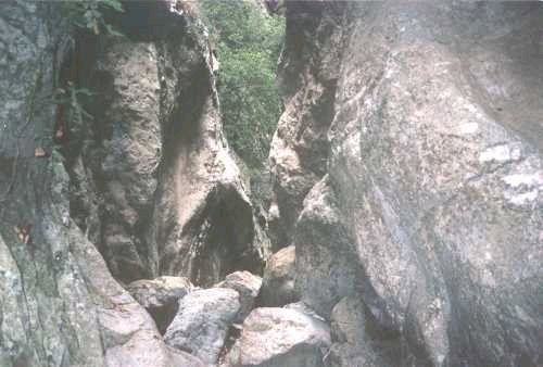 File:RPalancia ElToro.jpg