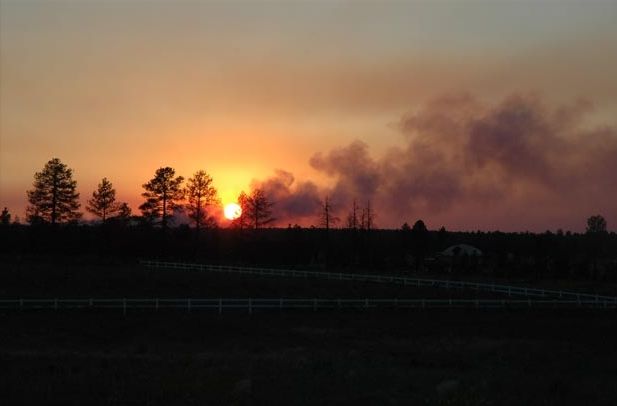 File:Rodeo–Chediski Fire.jpg