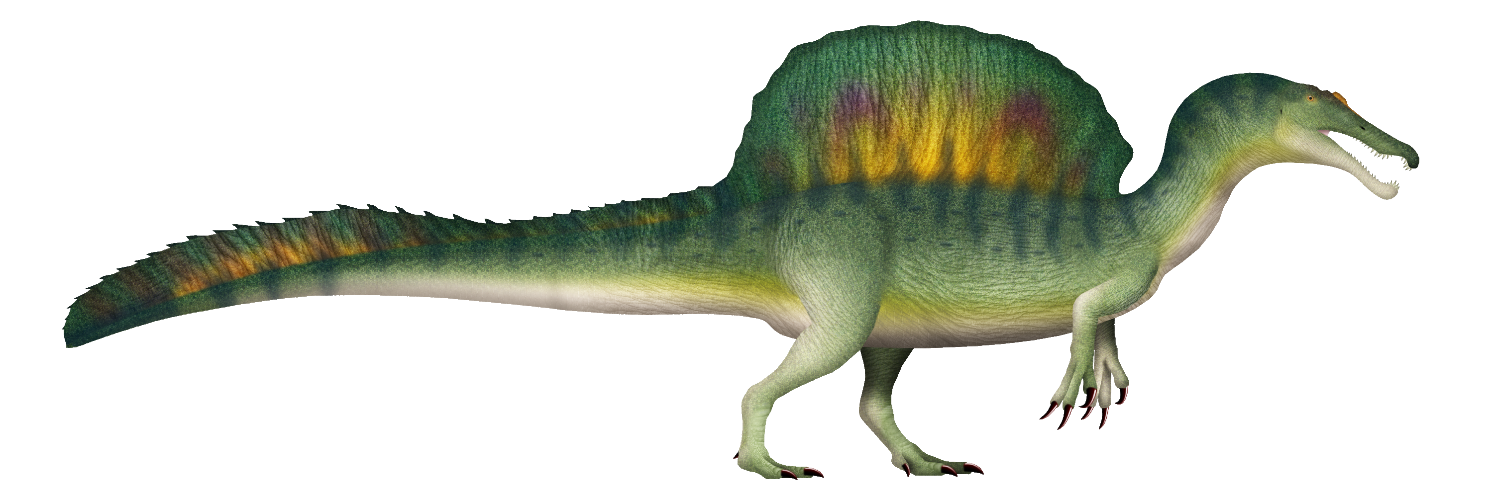 Spinosaurus UDL