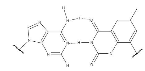 File:A bonded to xT.png