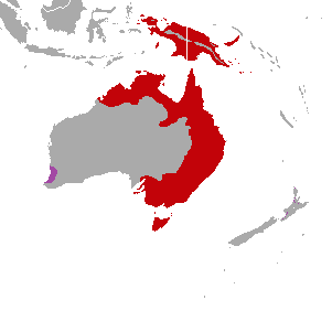 File:Cacatua galerita range map.png