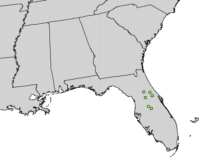 File:Illicium parviflorum range map.png