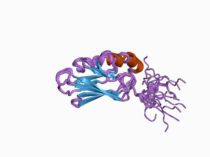 File:PDB 1ckr EBI.jpg