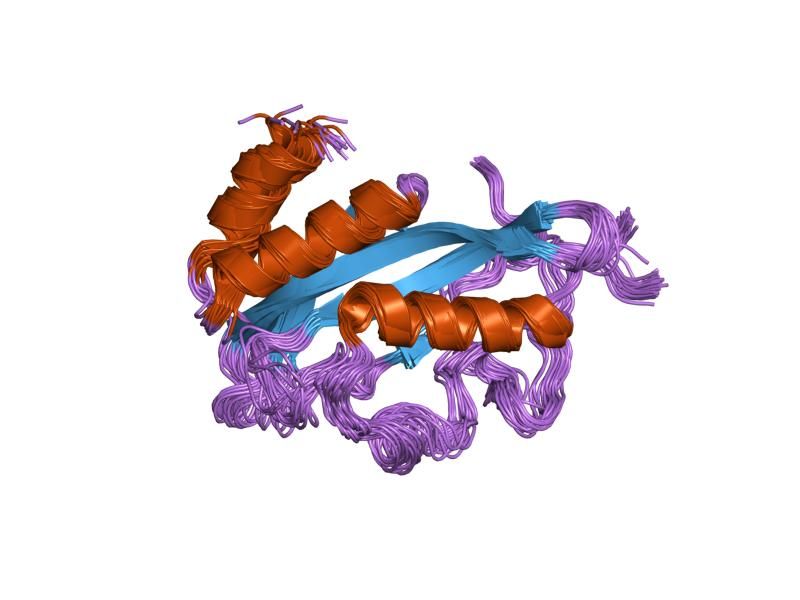 File:PDB 1m4p EBI.jpg