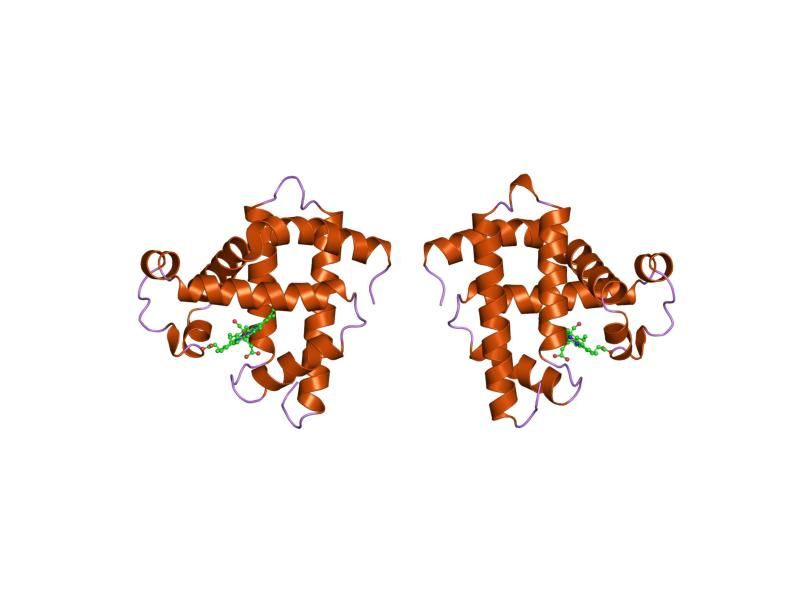 File:PDB 1mwc EBI.jpg