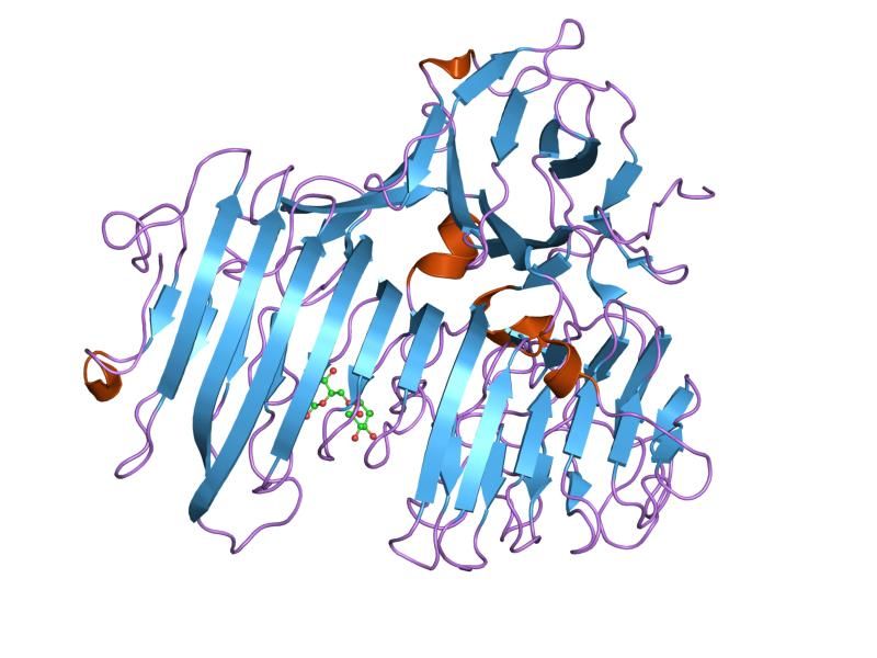 File:PDB 1ogo EBI.jpg