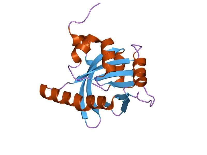 File:PDB 1ow1 EBI.jpg